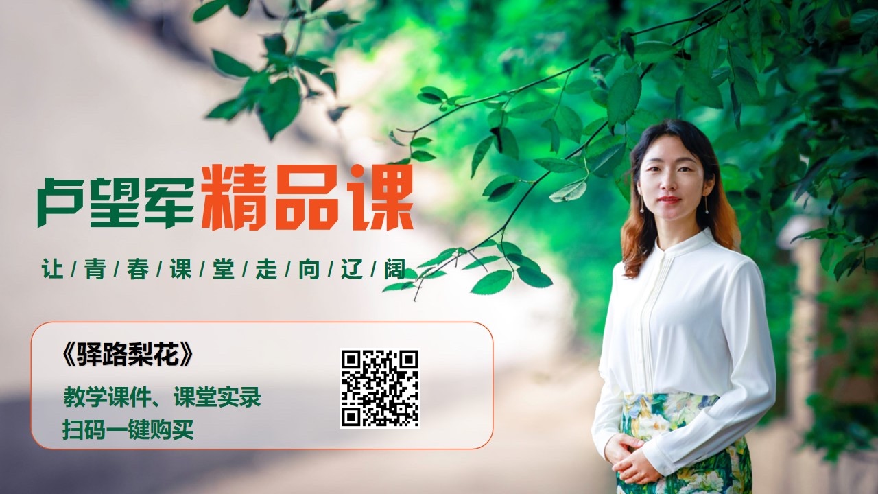 《驿路梨花》