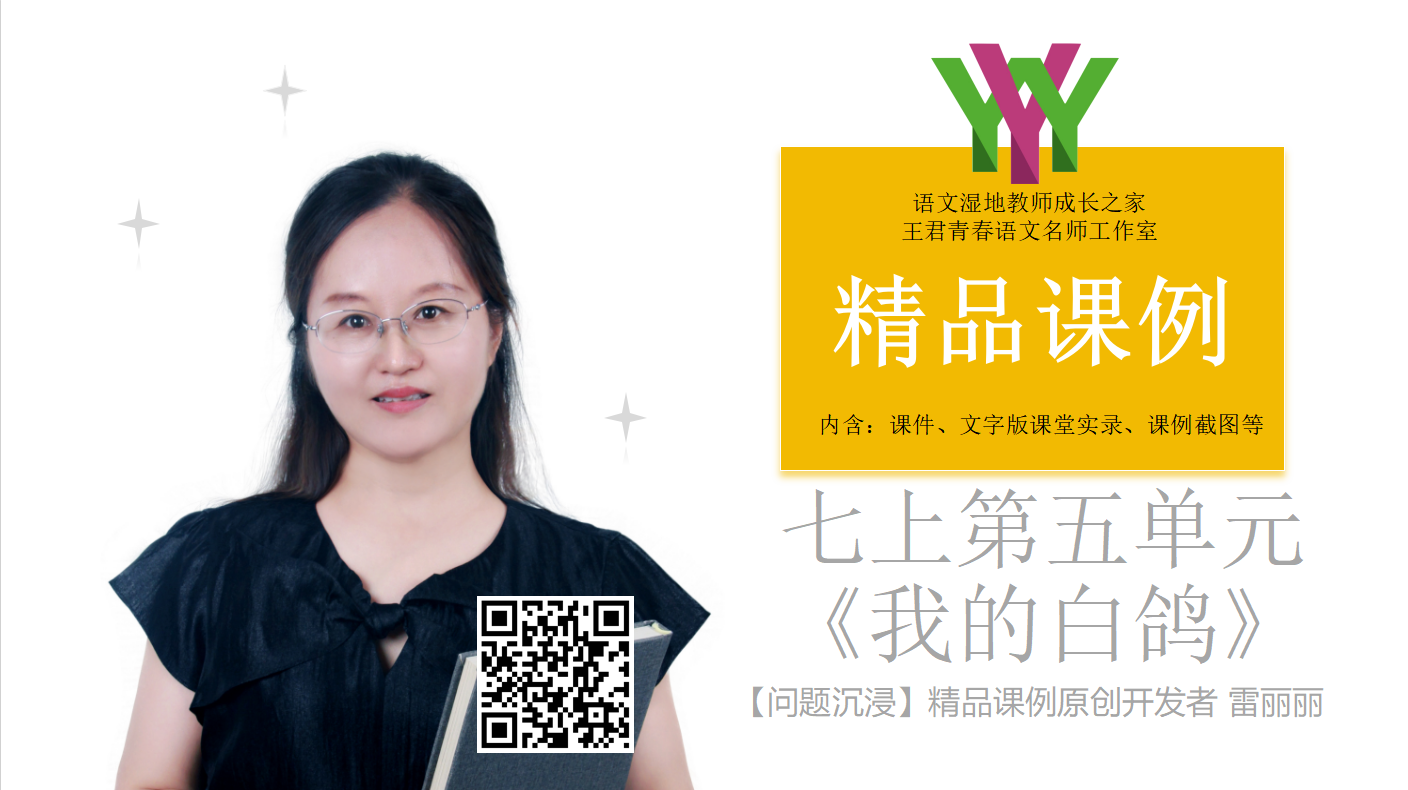 我的白鸽