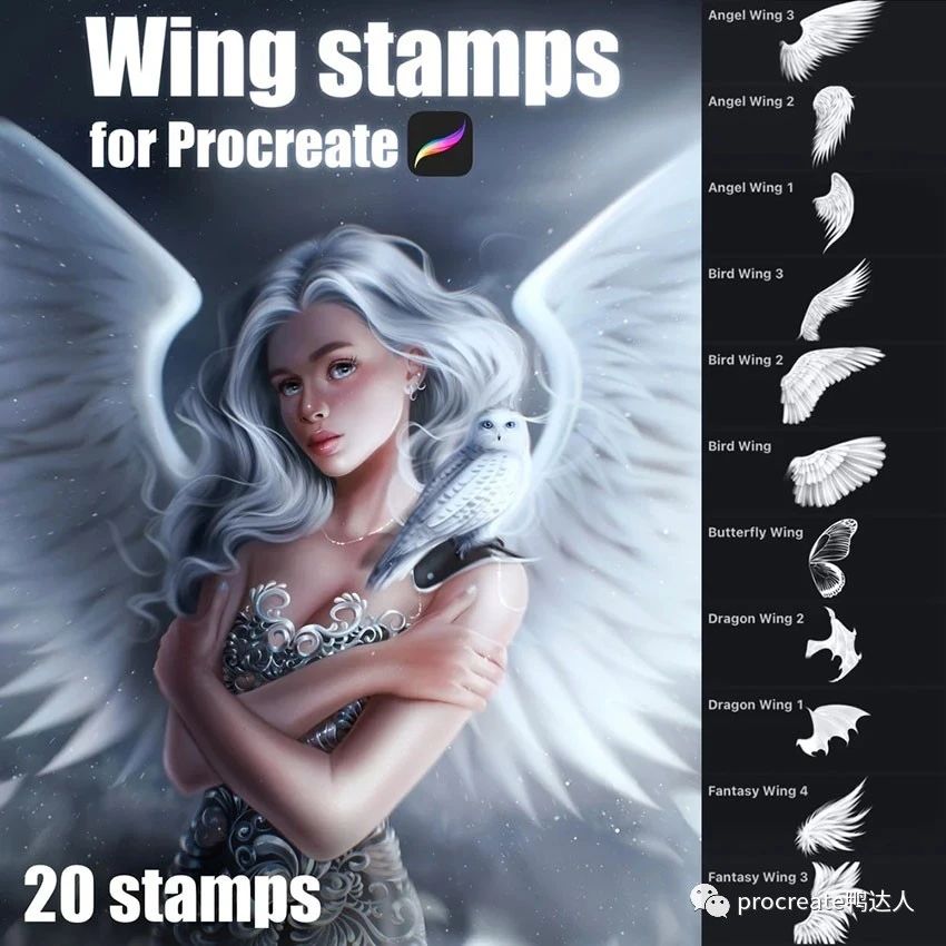 20个天使羽翼羽毛蝴蝶翅膀procreate笔刷打包百度网盘下载