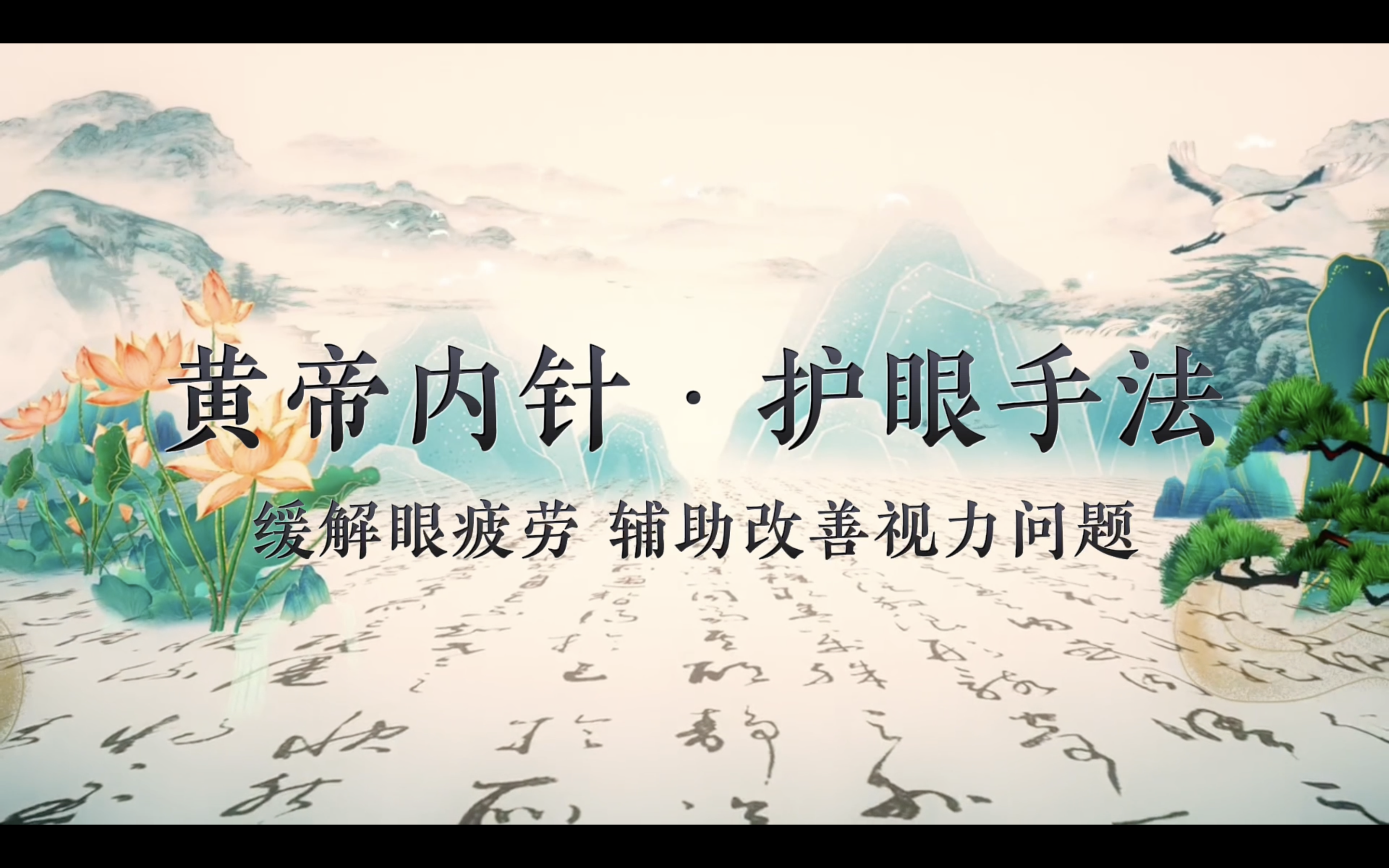 黄帝内针护眼手法·精修课