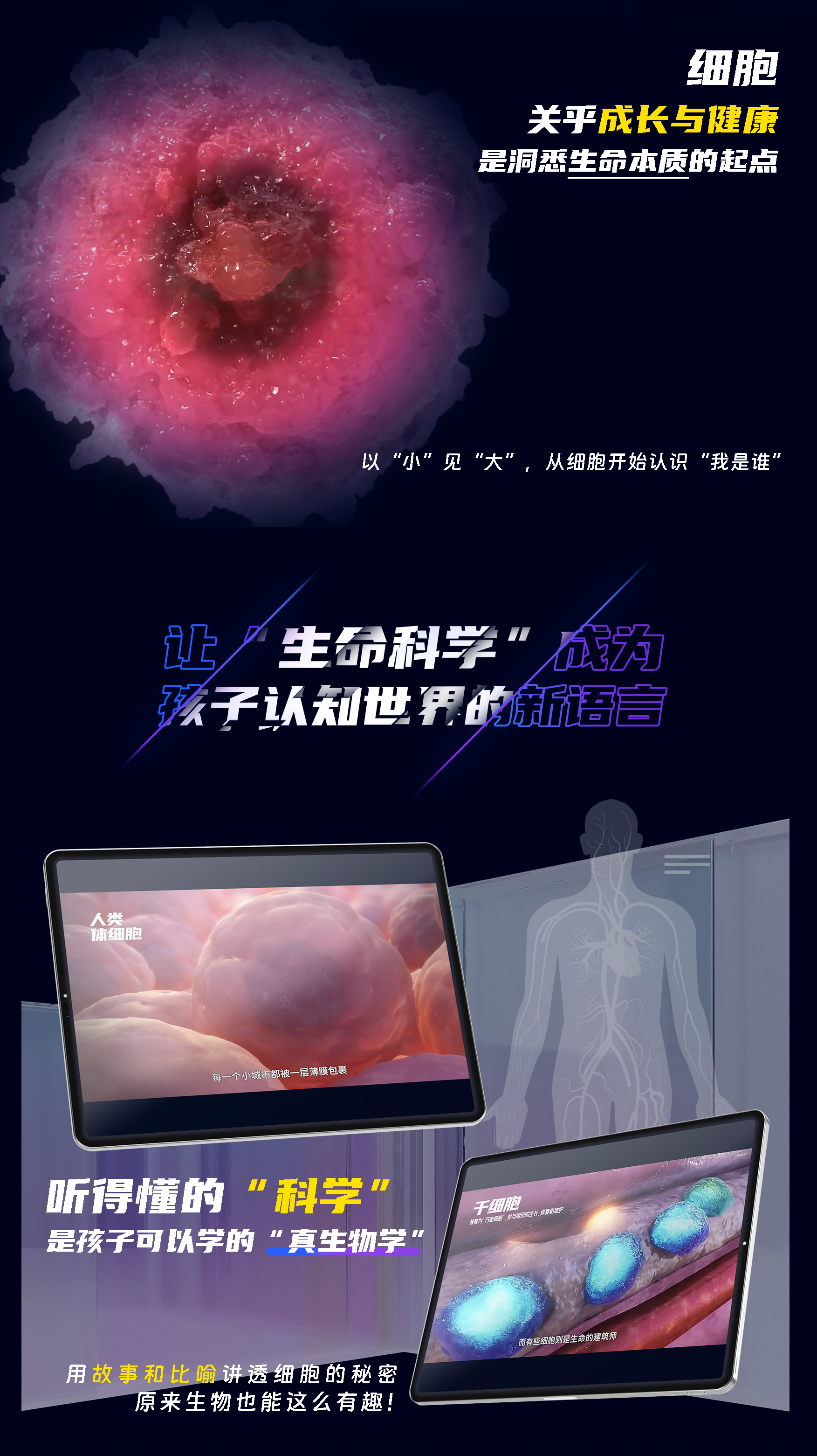 了不起的细胞