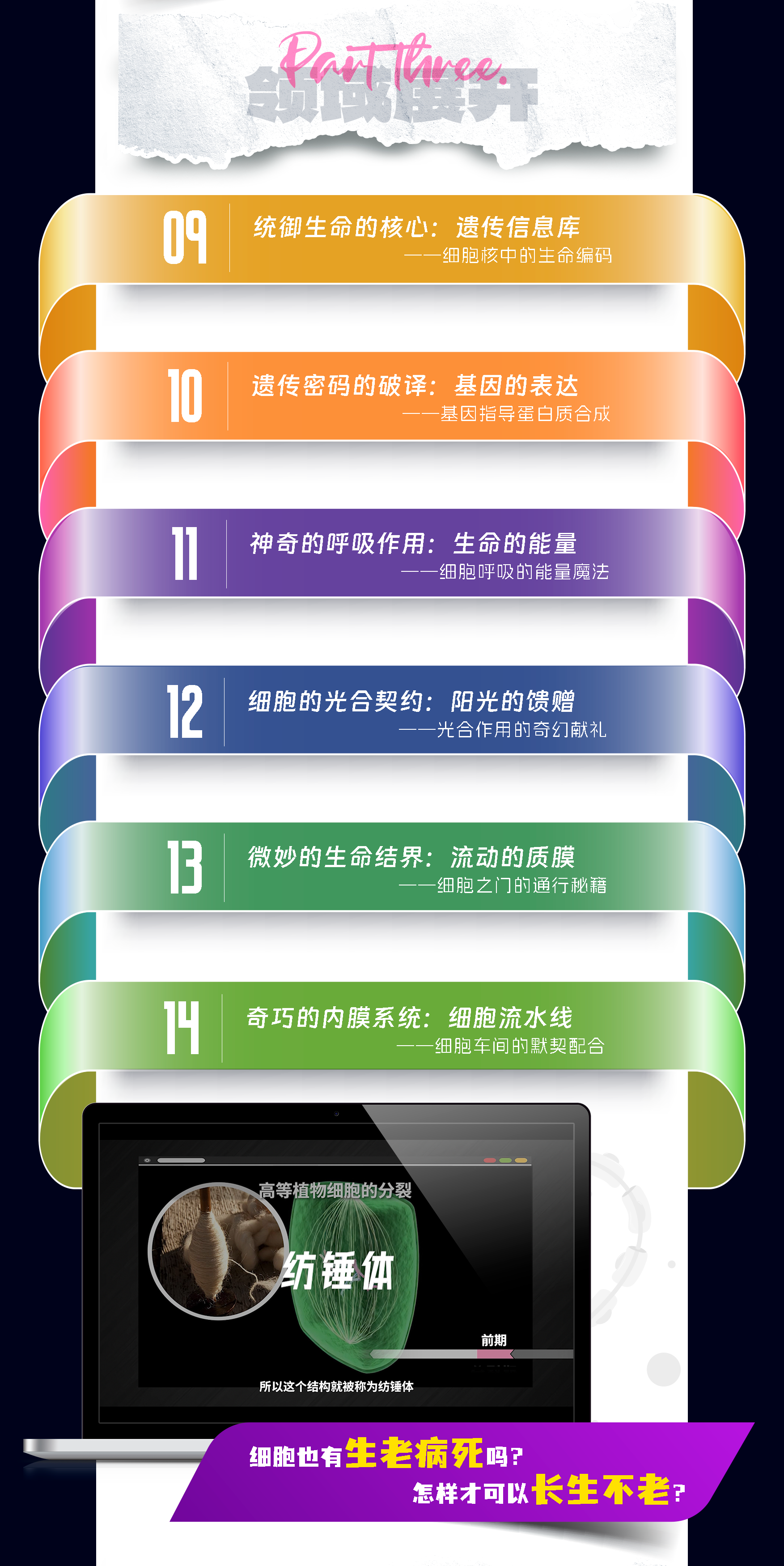 了不起的细胞