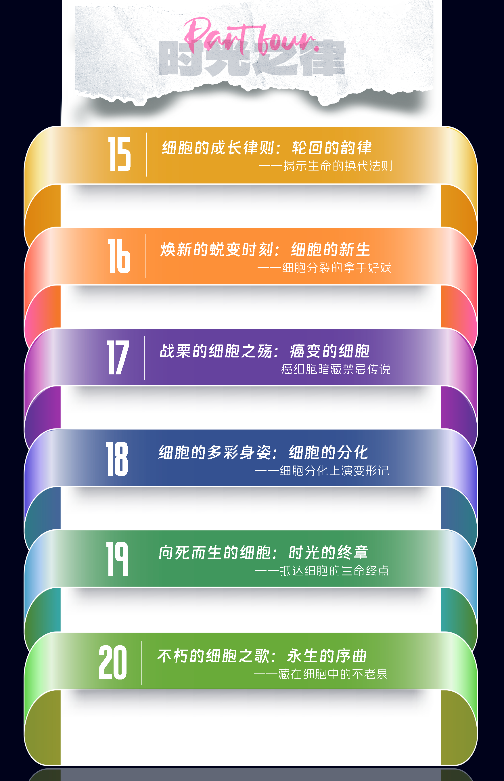 了不起的细胞