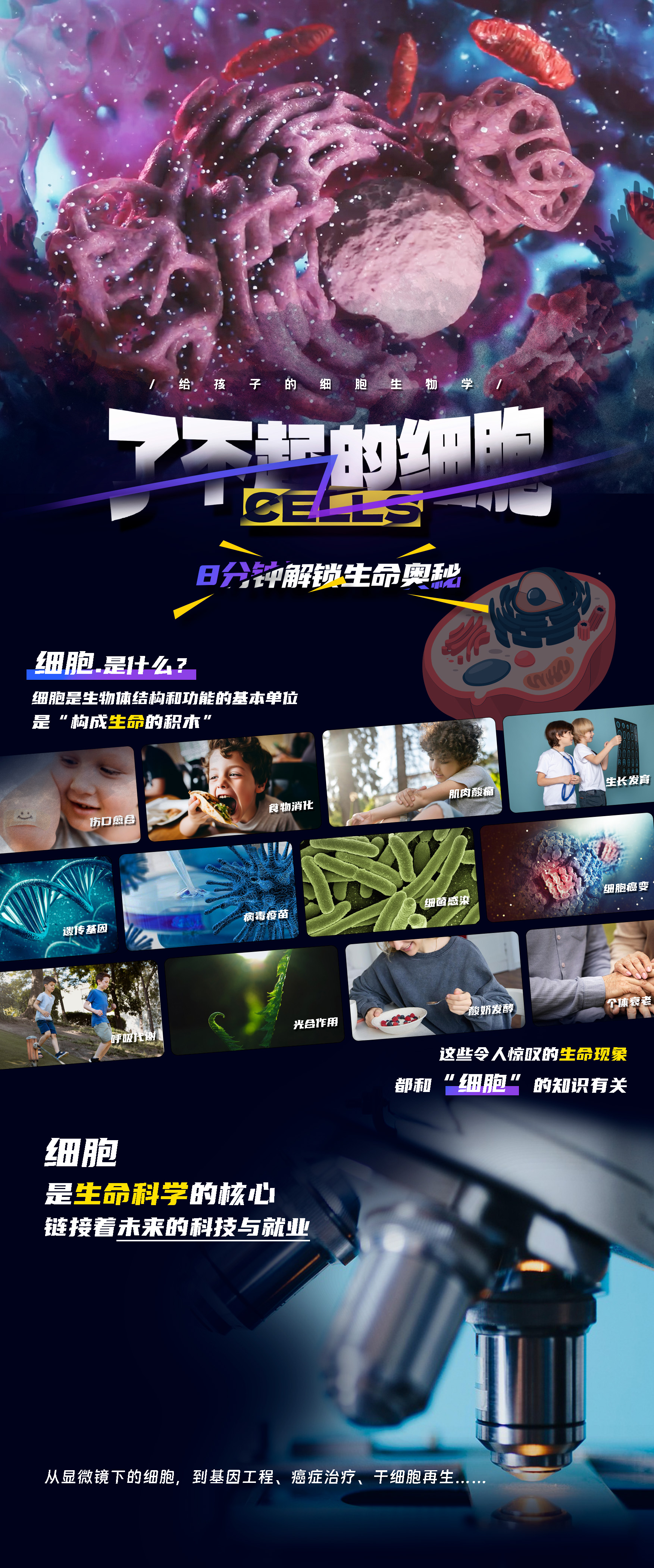 了不起的细胞
