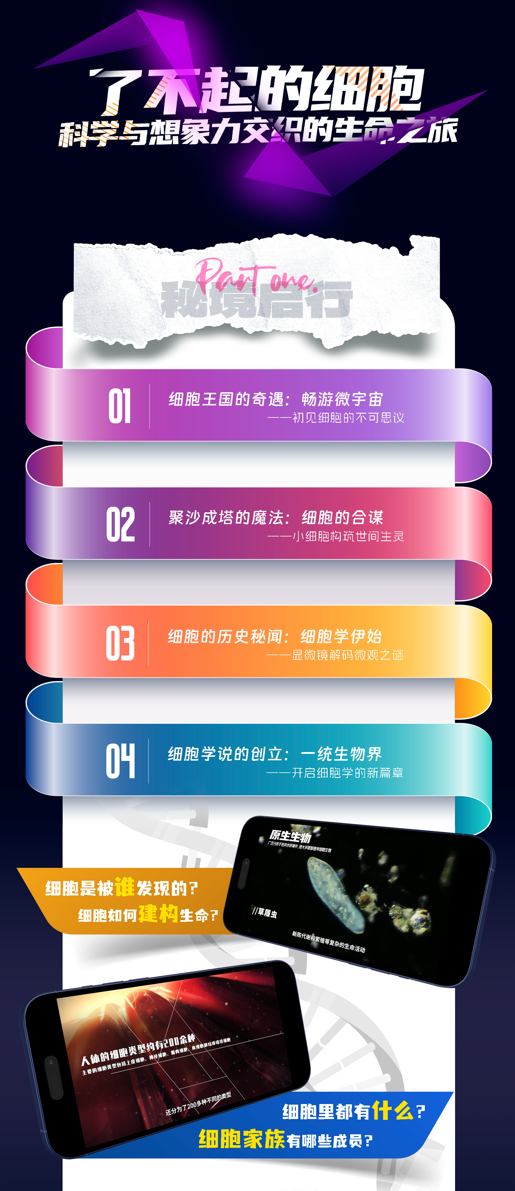 了不起的细胞