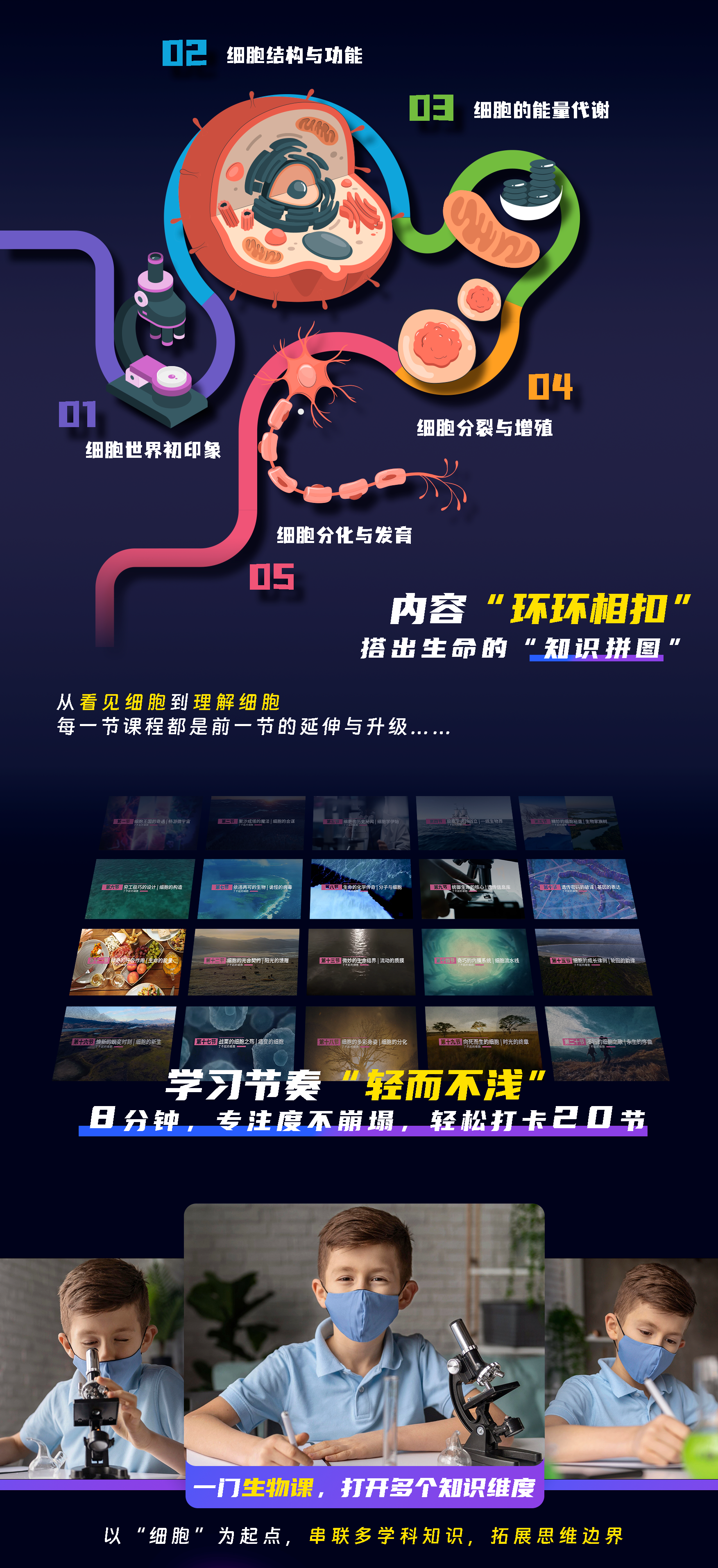 了不起的细胞