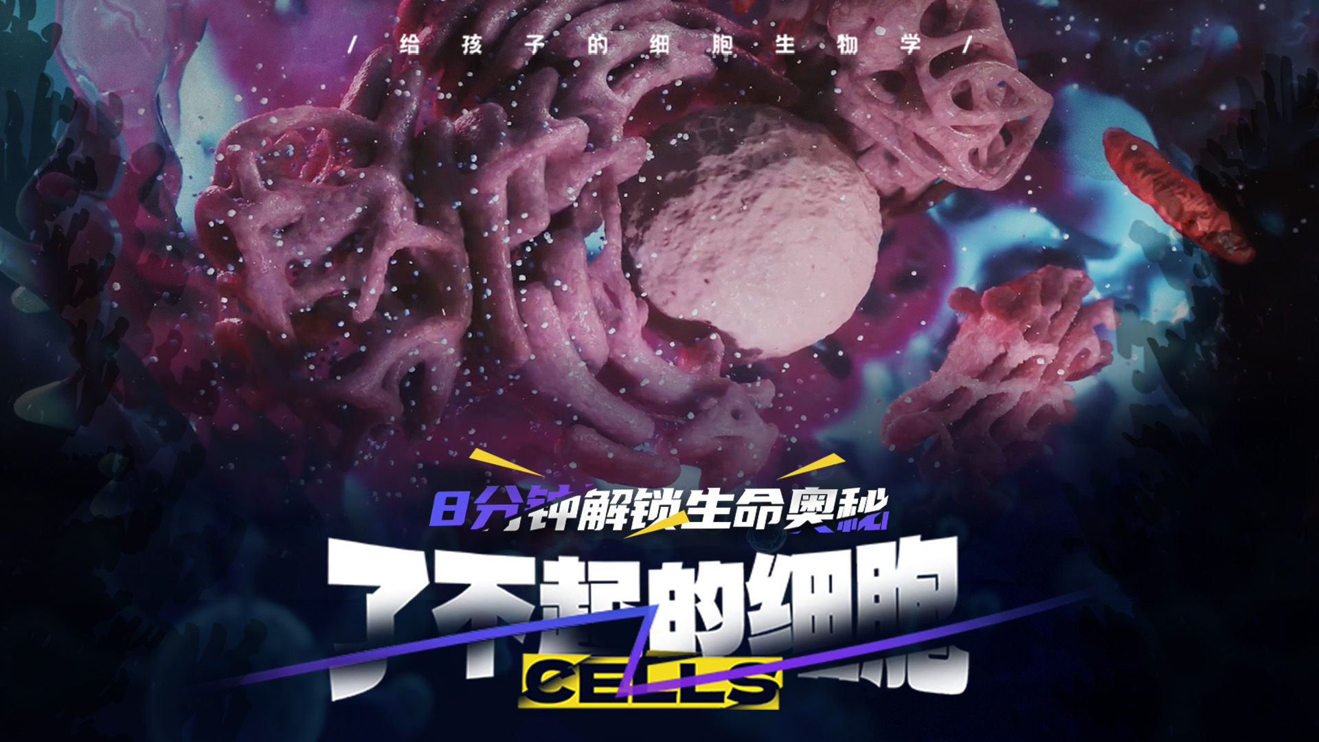 了不起的细胞