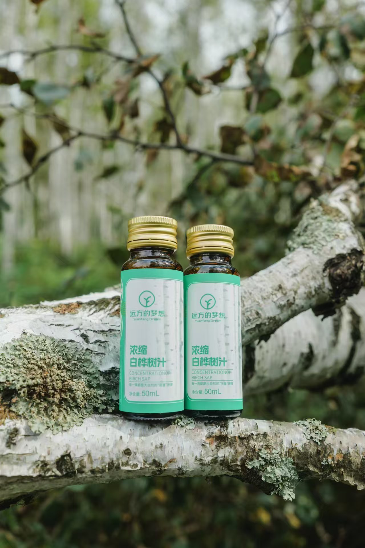 浓缩白桦树汁-远方好物 - 有机食品与健康生活专家