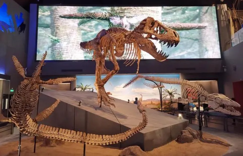 Һ3.jpg