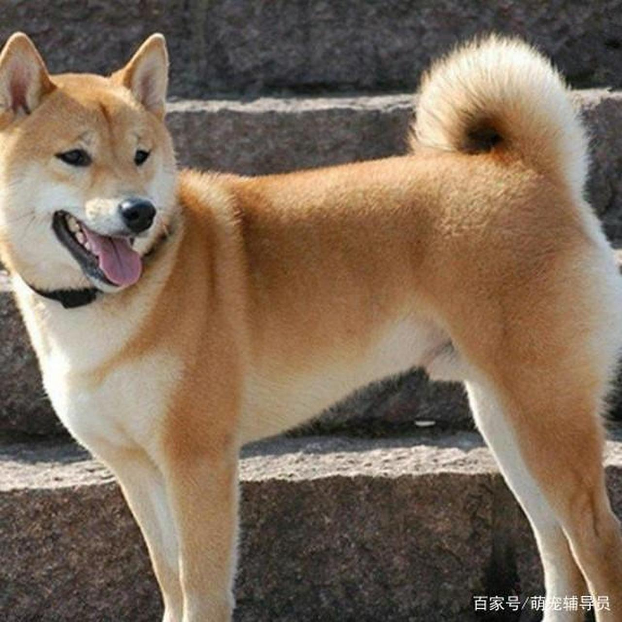 又画课堂