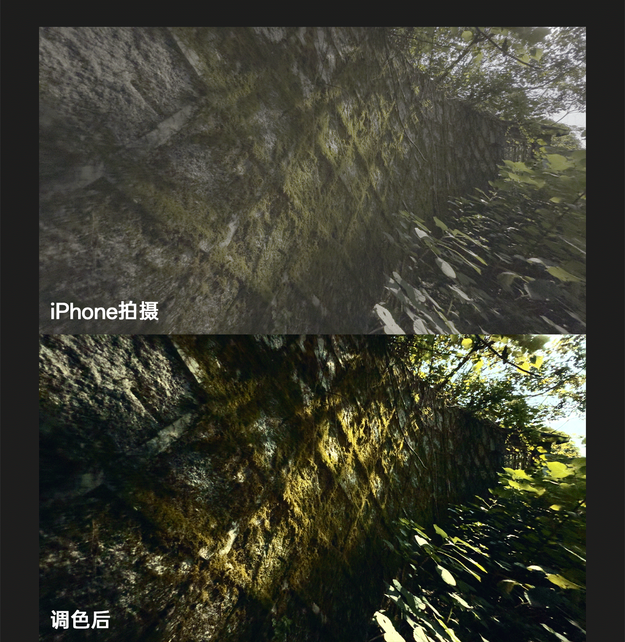 【影视飓风】只看8节课，用iPhone拍出电影感（iPhone 15/16 pro及max适用）