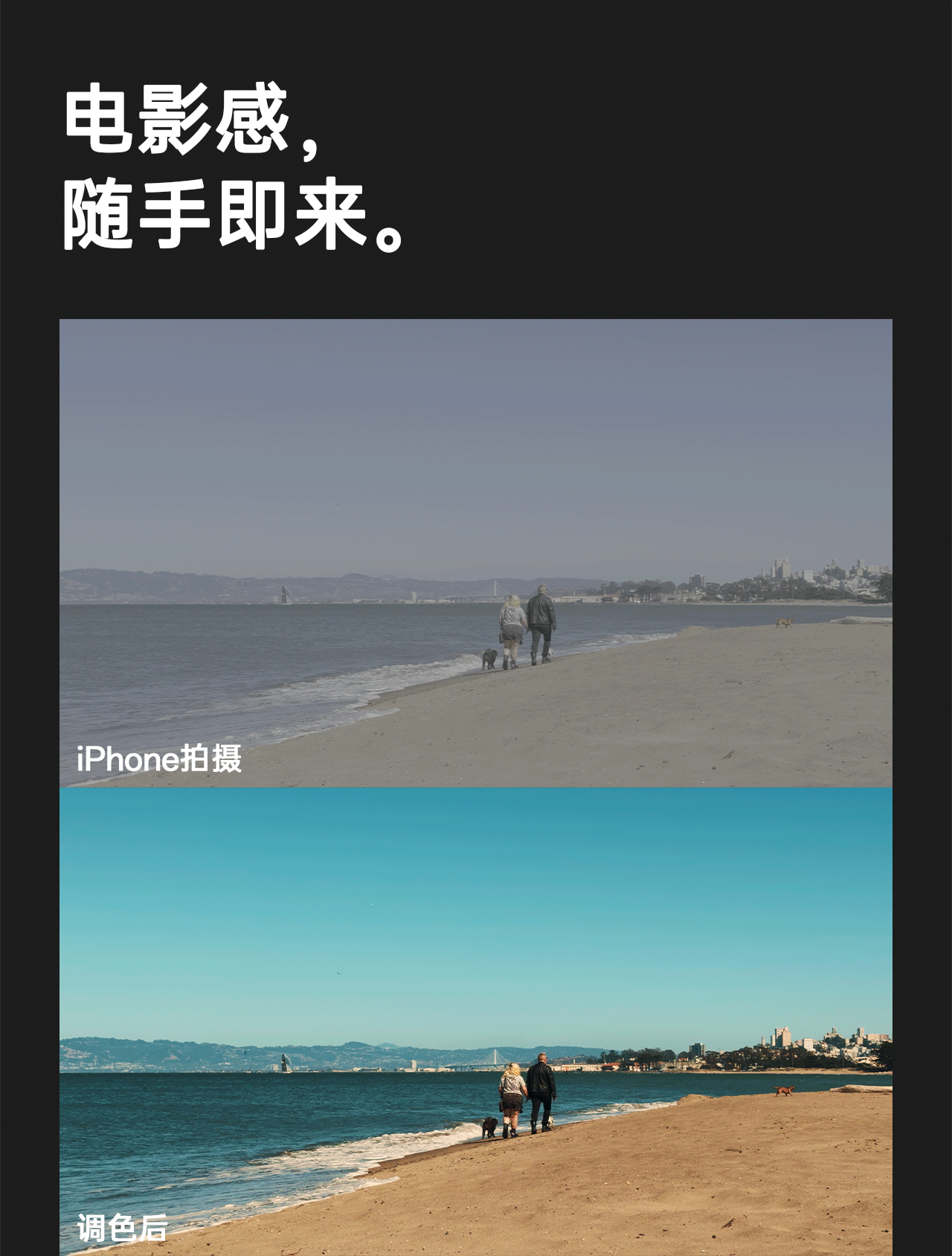 【影视飓风】只看8节课，用iPhone拍出电影感（iPhone 15/16 pro及max适用）