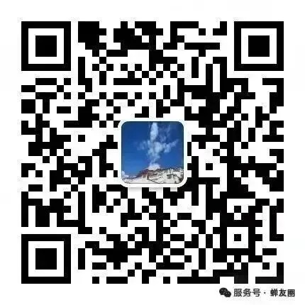 image/webp