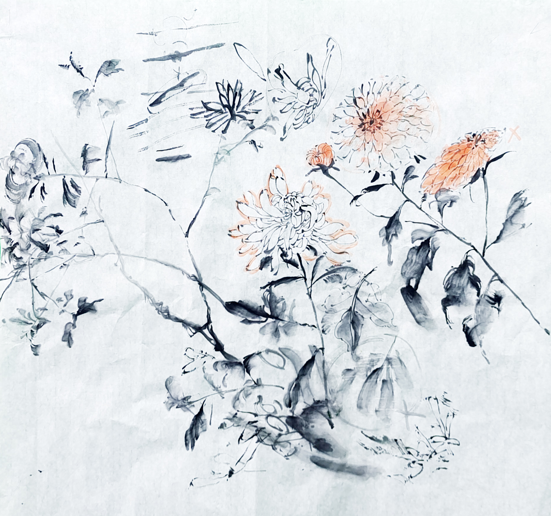 洪峰花鸟画--梅兰竹菊精品课