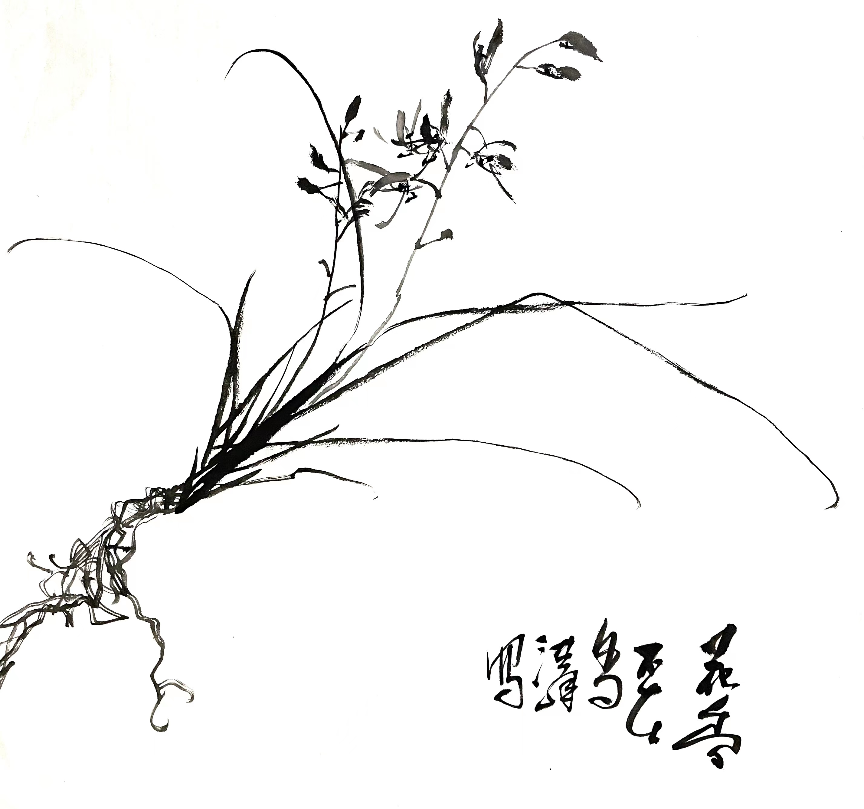 洪峰花鸟画--梅兰竹菊精品课