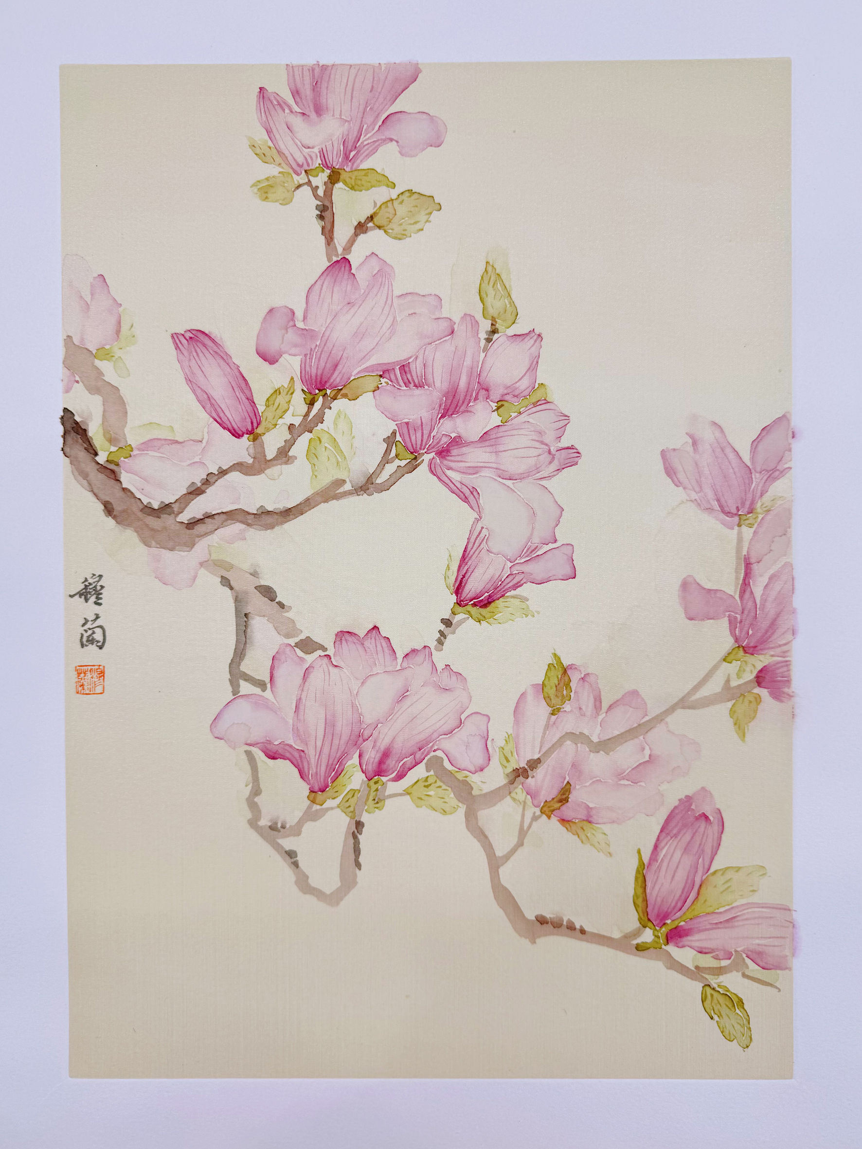 穆兰国画-玉兰花技法▶视频课
