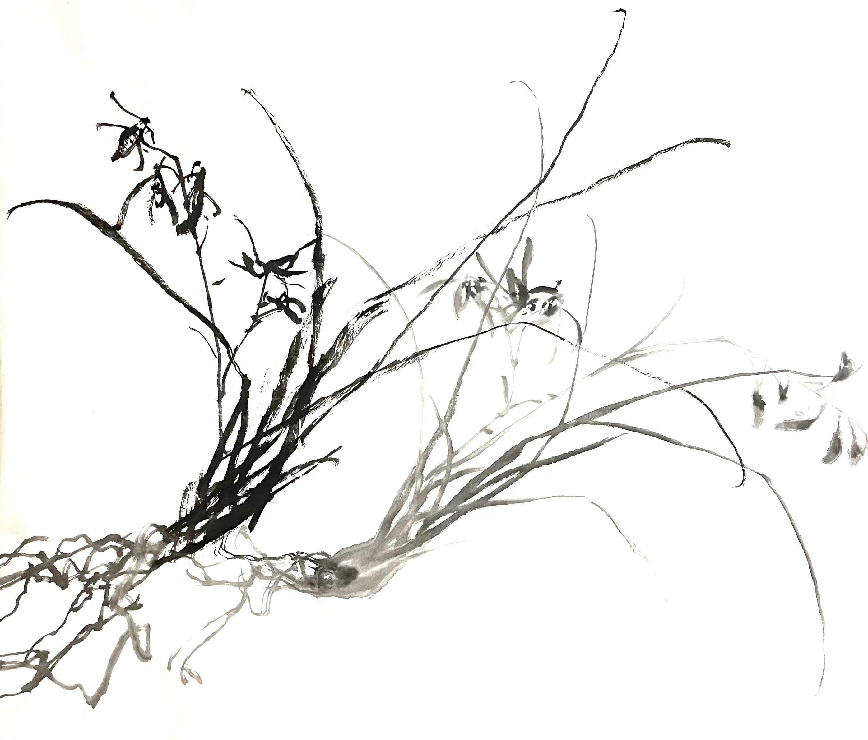 洪峰花鸟画--梅兰竹菊精品课