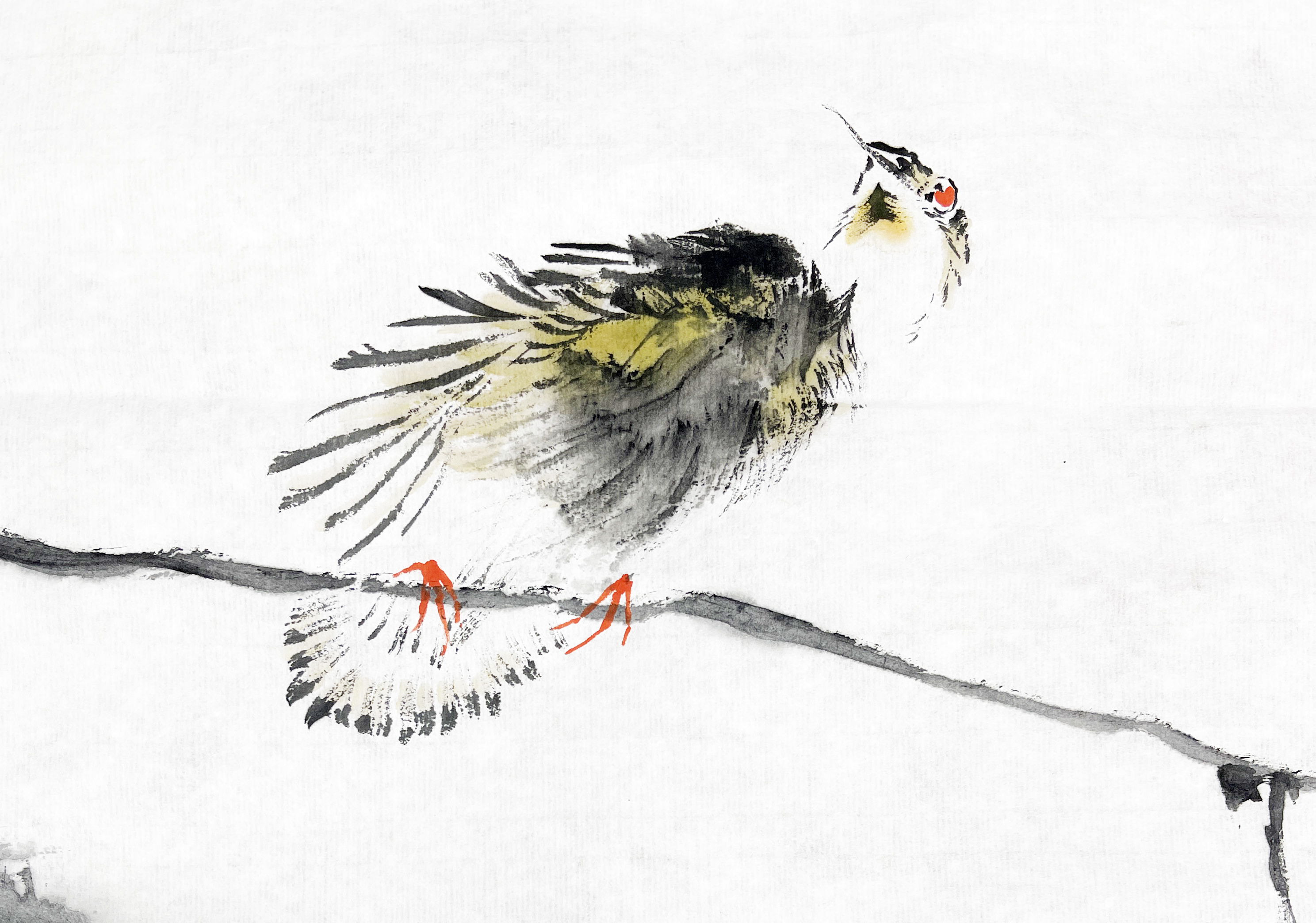 洪峰花鸟画--梅兰竹菊精品课