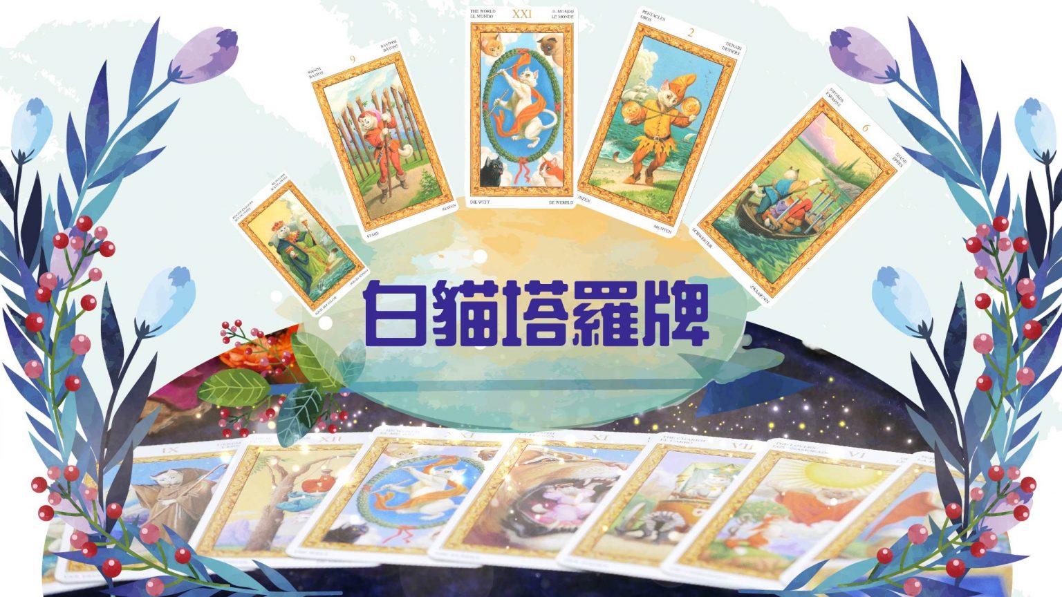 白猫塔罗基础
