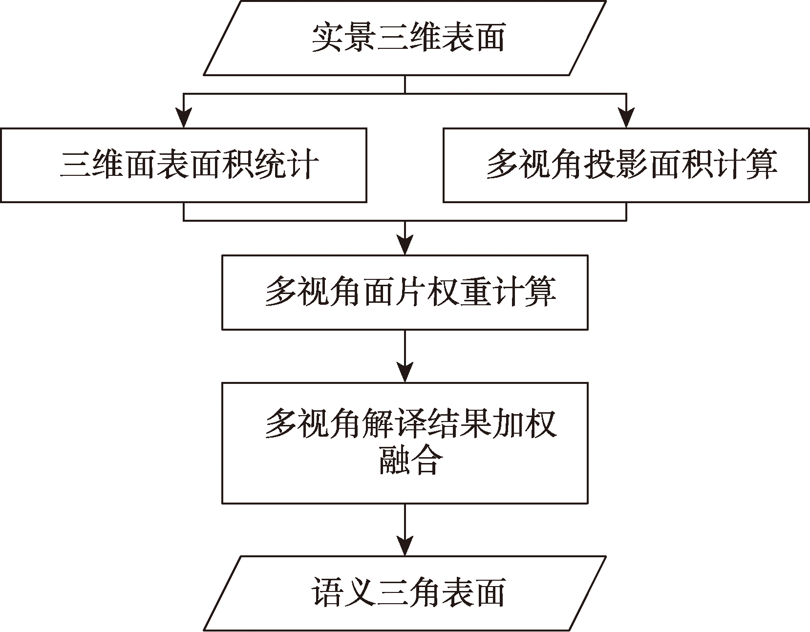 视角加权投票法处理流程