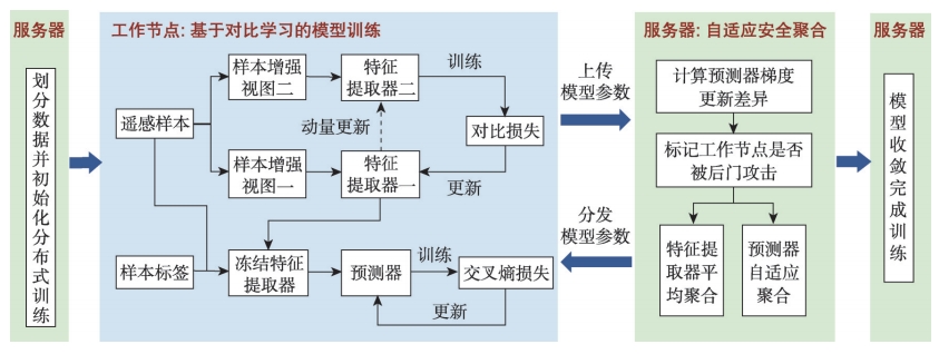 基于分布式对比学习的后门防御架构