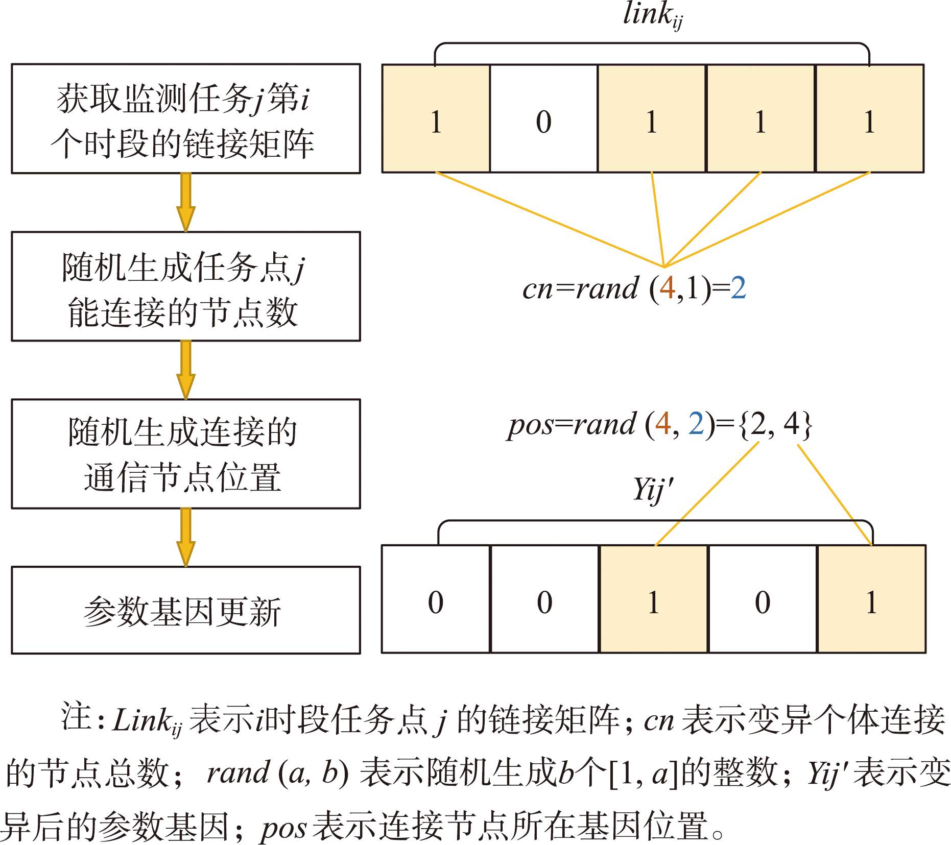 通信链接关系参数基因变异过程