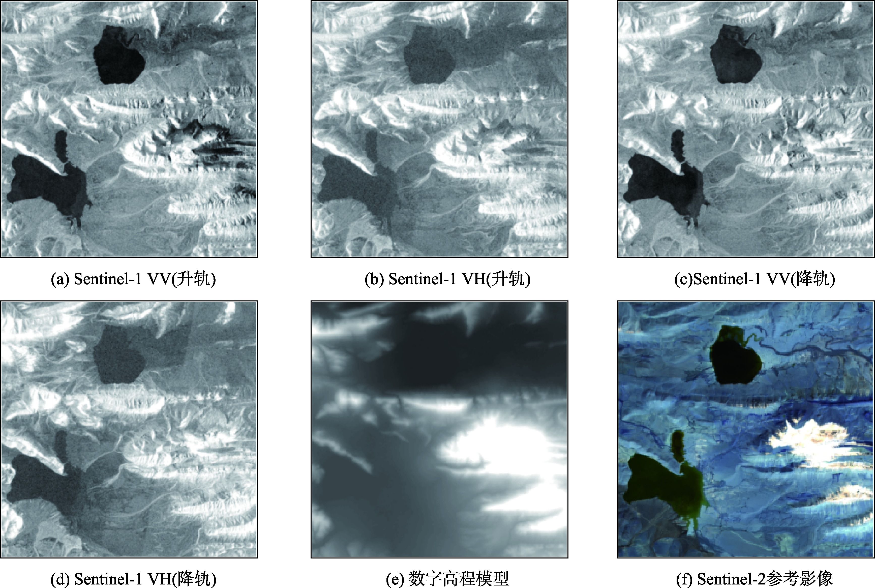 Sentinel-1影像、DEM数据及Sentinel-2参考影像示例