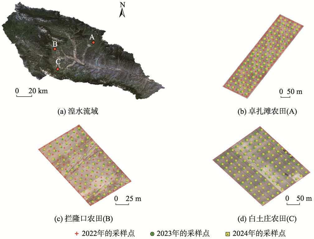 研究区位置及采样点分布