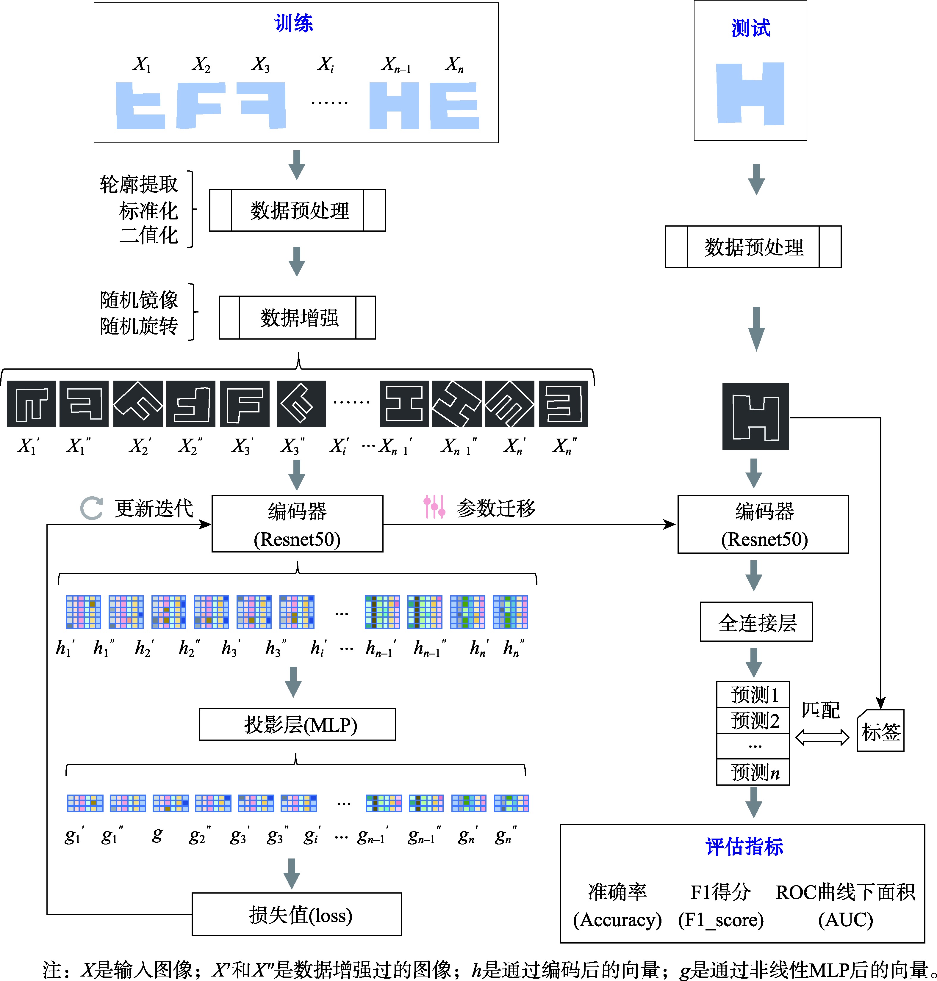 CLTM模型框架图
