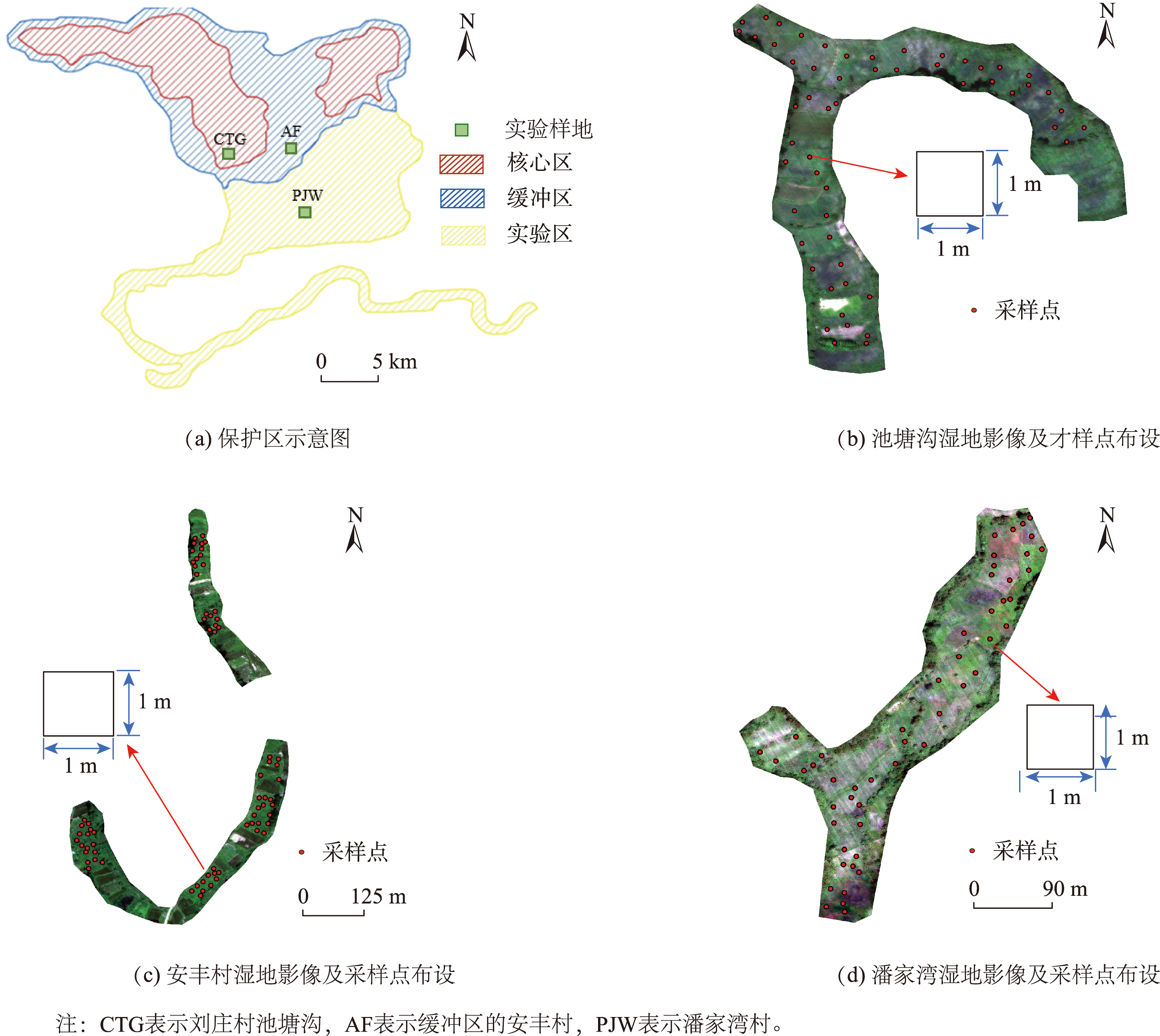 样地空间分布