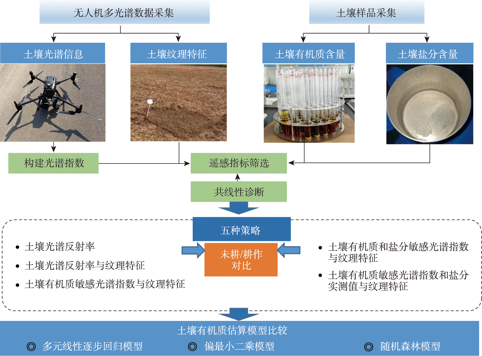 基于无人机多光谱遥感技术的盐碱地土壤有机质含量反演技术路线