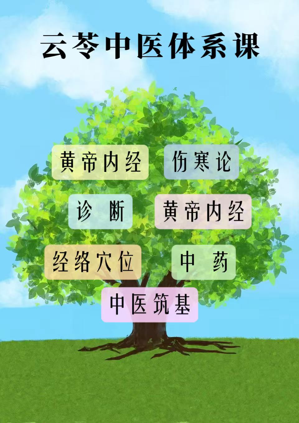 微信图片_2025-05-05_171345_574.jpg 中医筑基(上)