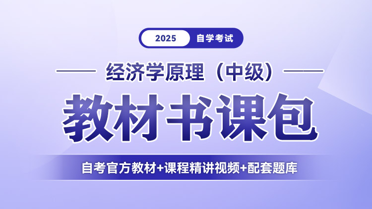 经济学原理（中级）